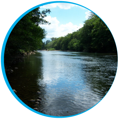 Rio de sarapiqui, rodeado de frondosos arboles verdes